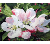 Genny Rees "Apple Blossoms"